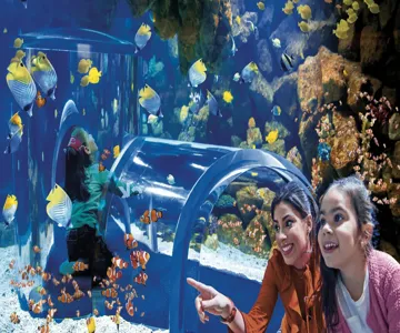 Poema del Mar - Aquarium Gran Canaria: Skip The Line Ticket
